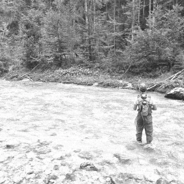 Fliegenfischen erleben